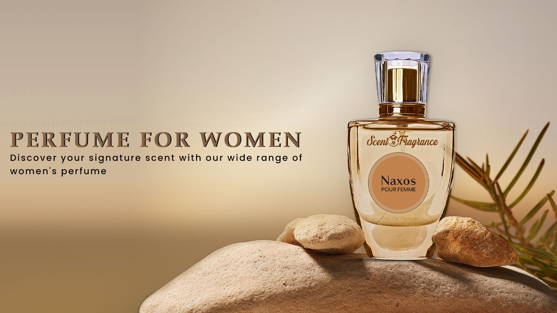 Women Fragrances - Scent N Fragrance scentnfragrance.com